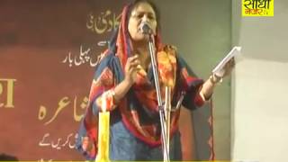AAP बादली विधानसभा में मुशायरा || चाइनीज बकरा विडियो के आखिर में || All News On Sidhi Nazar