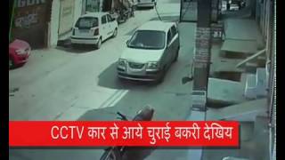 CCTV कार से आये चुराई बकरी देखिये / Nathupura Delhi -84