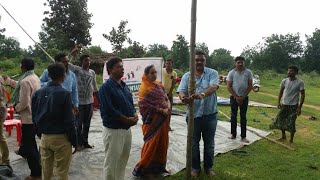 #Mass Plantations at Loisingha, Balangir