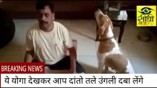 दुनिया का सबसे बेहतर योगा | Dog Yoga | Sidhi Nazar || Latest News 2017