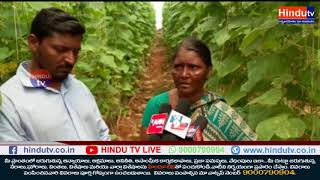 Kasturi Ajay Kumar Shows His Intrest In Farming Over Jobs // News Update // Hindu Tv