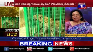 Operation Chirathe..!(ಆಪರೇಷನ್​​ ಚಿರತೆ ..!) NEWS 1 SPECIAL DISCUSSION PART 03