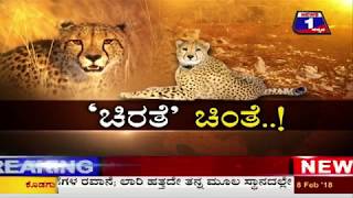 News 1 Kannada Special Discussion | Chirathe Chinthe(ಚಿರತೆ ಚಿಂತೆ..!,) Part 01