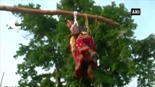 Tribe in Odisha 'celebrates' Udaan festival