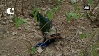 Sudden rise in deaths of peacocks in Sariska