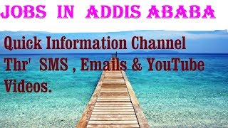 Jobs  in  ADDIS ABABA     City for freshers & graduates. industries, companies.   ETHIOPIA
