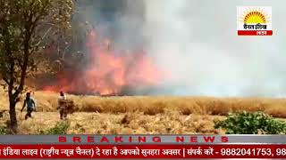 गेहूं के खेत मे भीषण आग #Channel India Live