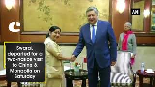 Sushma Swaraj met Kyrgyzstan's foreign Minister Erlan Abdyldaev in Beijing