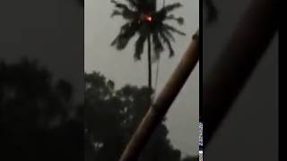 Live visual of Electrude on a Tree || viral best news