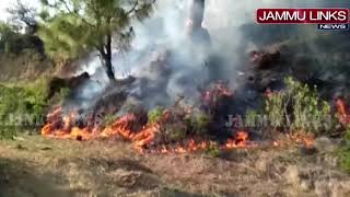 Forest fire in Nowshera village