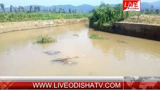 POLSARA CANEL | Live Odisha News