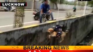 ड्रोन की मदद से बचाई गई कुत्ते की जान