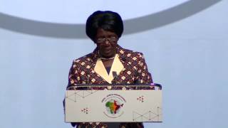 Opening Statement by Her Hon'ble Ms. Inonge Wina, Vice President of the Republic of Zambia