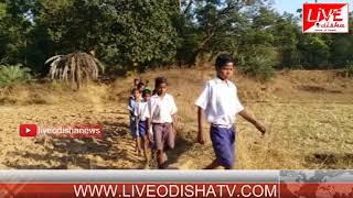 Special Report : Kandhamal Matiapalli School Problem