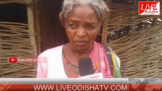Special Report : Sinapalli Dambarudhara Majhi indira awas yojona fail