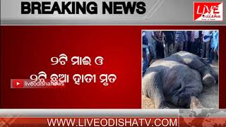 Breaking News : 4 Elephants Dead In Kirimira Block