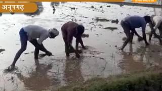 Khabr Rajasthan news 14 07 2017 mpeg2video