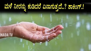 ಮಳೆ ನೀರನ್ನು ಕುಡಿಯಬಹುದೇ..? ಕುಡಿದರೆ ಏನಾಗುತ್ತದೆ | Top Kannada Health Video
