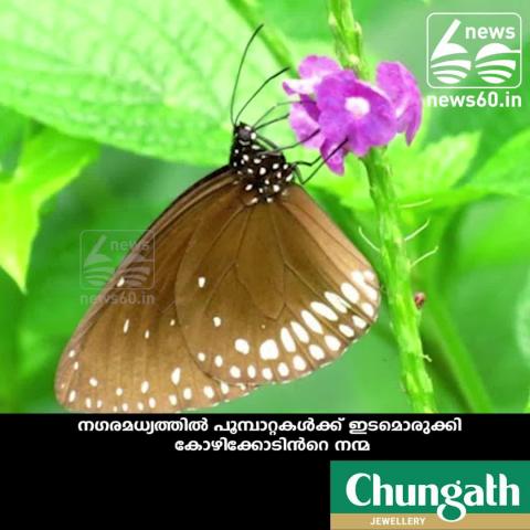 New Butterfly park in calicut