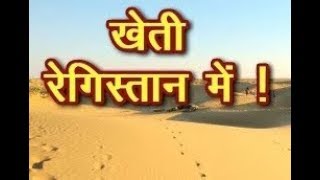 DPK NEWS - रेगिस्तान एवं रेतीले धोरों पर उन्नत तकनीक अपना कर बगीचे लगे लहराने