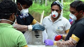 Nipah Virus: Here’s everything you wanted to know | Economic Times