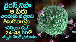 Unknown Facts About Nipah Virus | Nipah Virus Symptoms and Precautions | Top Telugu TV