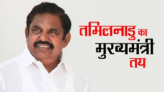 तमिल नाडु का मुख्यामंत्री तय | पलानीसामी बनेगे मुख्यमंत्री | व्हिसिलब्लोवर न्यूज़ इंडिया