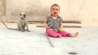 मासूम नन्ही सी जान हो गयी परेशान ...बंदर है या मुसीबत.