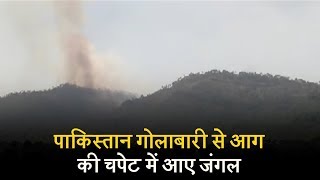 पाकिस्तान गोलाबारी से आग की चपेट में आए जंगल, सैंकड़ों पेड़ जल कर राख