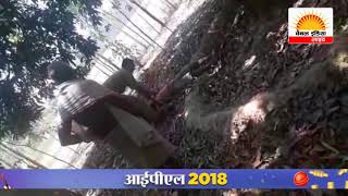 आम के पेड़ से लटका मिला युवक का शव फांसी लगाकर की आत्महत्या #Channel India Live