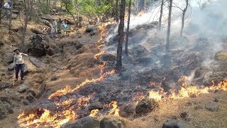 Massive forest fire breaks out in J&K's Rajouri