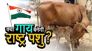 क्या गाय बनेगी राष्ट्र पशु ? | अशोक वानखेड़े | व्हीसिलब्लोवर न्यूज़ इंडिया