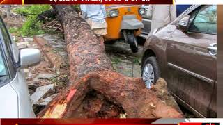 Hurricane strike in UP-Bihar and Jharkhand - tv24