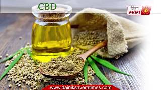 Tips Of The Day Food Facts : CBD oil Cannabidiol