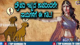 ನಾಯಿಗಳು ಬಹಿರಂಗ ಶೃಂಗಾರ ಮಾಡಲು ಕಾರಣವೇನು ಗೊತ್ತ | Kannada Unknown Facts