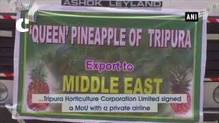 Tripura flags off first pineapple consignment to Dubai