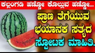ಪ್ರಾಣ ತೆಗೆಯುವ ಭಯಾನಕ ಸತ್ಯದ ಸ್ಪೋಟಕ ಮಾಹಿತಿ | Big Breaking News about watermelon