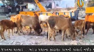 Gujarat News Porbandar (08-01-2015)