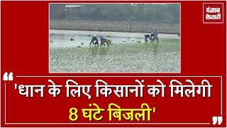 'धान के लिए किसानों को मिलेगी 8 घंटे बिजली'