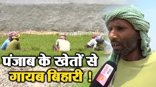 Bihar की तरक्की Punjab के किसानों पर भारी