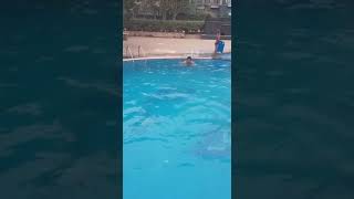 Swimming Stunt - Dont try it without trainet