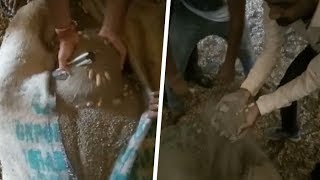 Groundnut Scam expose in Gujarat-મગફળી ખરીદીના રૂ.1200 કરોડના કૌભાંડનો પુરાવો છે આ વીડિયો