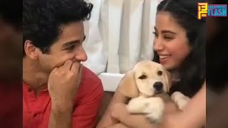 Janhvi Kapoor Finally Gave Puppy To Boyfriend Ishaan Khatter  - Cute Love