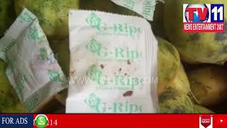 SOT POLICE RAID ON GODOWNS OF ARTIFICIAL PIPENING OF MANGOES IN HYD | Tv11 News | 09-05-2018
