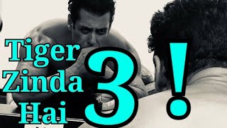 Salman Khan Gives Green Signal For Tiger Zinda Hai 3!