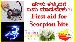 first aid for scorpion bite..treatment of scorpion bite..