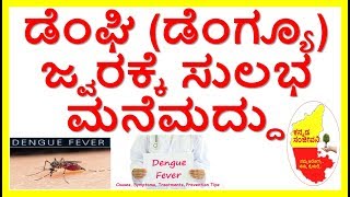 Best Home Remedies for Dengue fever...Kannada Sanjeevani..