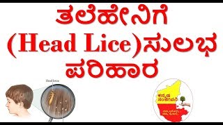 Home Remedies for Head Lice....Kannada Sanjeevani