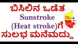 Best home remedies for Sunstroke in Kannada | Heat stroke kannada | Kannada Sanjeevani