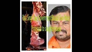 Raja Singh | Say's Government Should Killed Gau Rakshak | DT NEWs